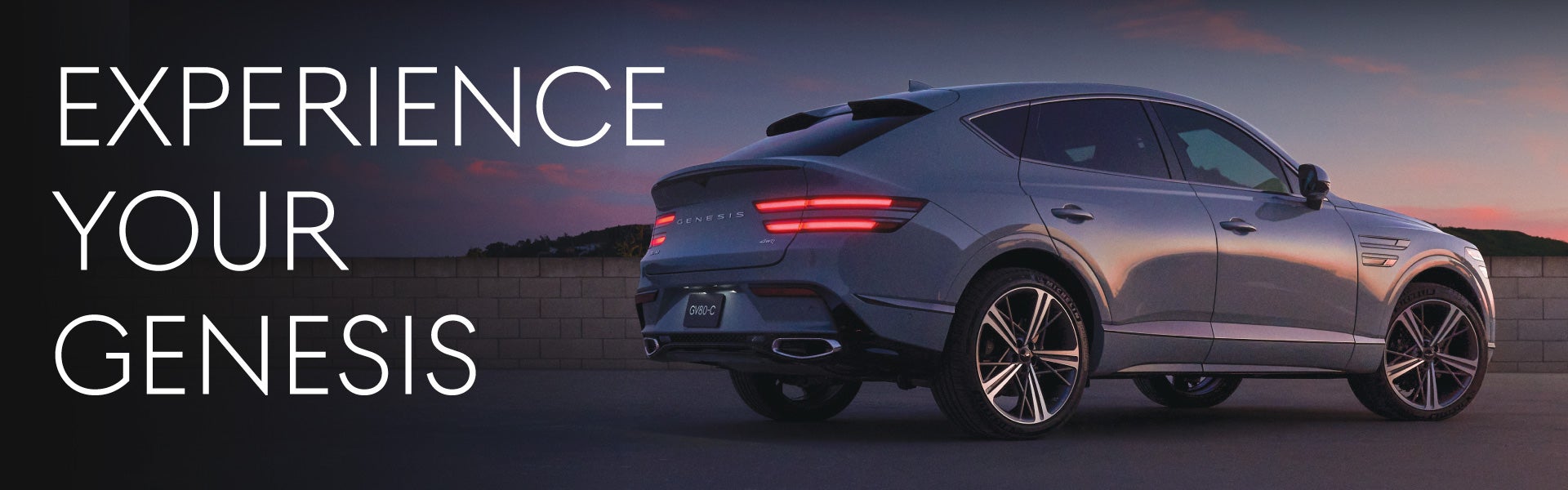 EXPERIENCE YOUR GENESIS 	Power + Performance
